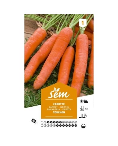 Carotte Touchon (sachet)