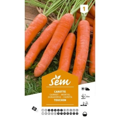 Carotte Touchon (sachet)