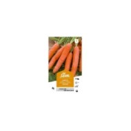 Carotte Touchon (sachet)