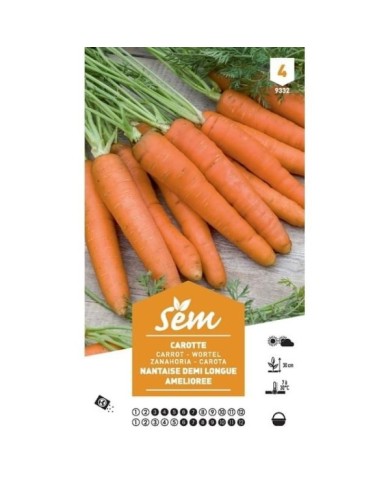 Carotte 1/2 longue Nantaise améliorée XXL (sachet)