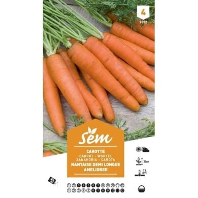 Carotte 1/2 longue Nantaise améliorée XXL (sachet)