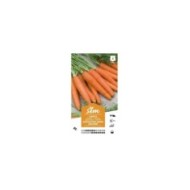 Carotte 1/2 longue Nantaise améliorée XXL (sachet)