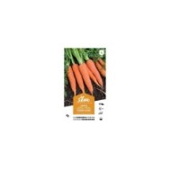 Carotte Flakkee Colmar XXL (sachet)