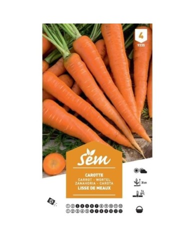 Carotte lisse de Meaux XXL (sachet)
