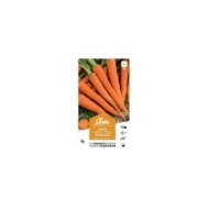 Carotte lisse de Meaux XXL (sachet)