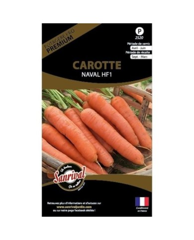 Carotte naval f1 (sachet)