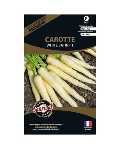 Carotte white satin purple (sachet)