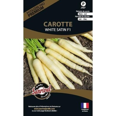 Carotte white satin purple (sachet)