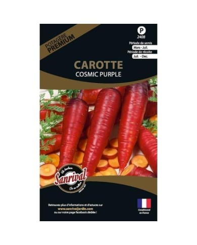 Carotte cosmic purple (sachet)