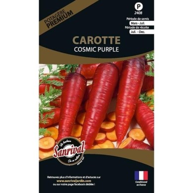 Carotte cosmic purple (sachet)