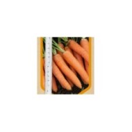 Carotte Nantaise 2 en ruban