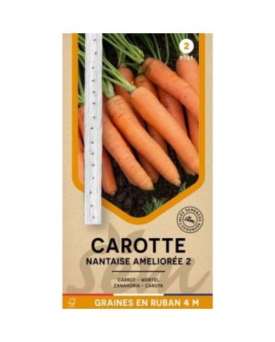 Carotte Nantaise 2 en ruban