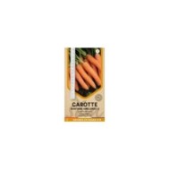 Carotte Nantaise 2 en ruban