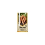 Carotte Flakkee type Colmar en ruban