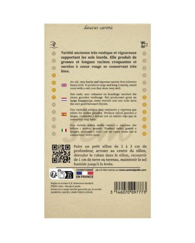 Carotte Flakkee type Colmar en ruban