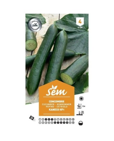 Concombre Kaneco F1 (sachet)