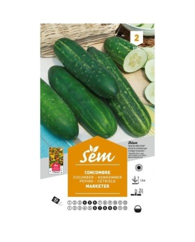 Concombre Marketer (sachet)