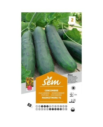 Concombre Marketmore 76 (sachet)