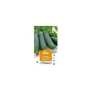 Concombre Marketmore 76 (sachet)