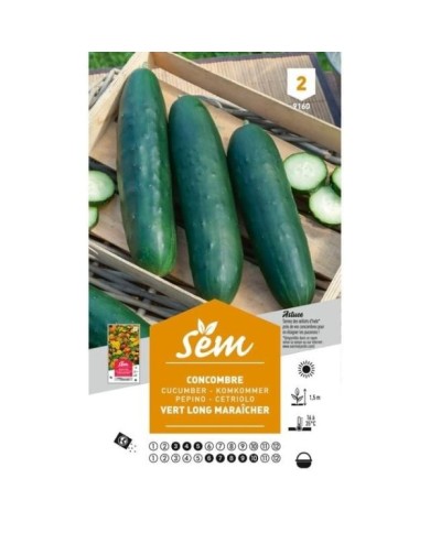 Concombre vert long Maraîcher (sachet)