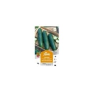Concombre vert long Maraîcher (sachet)