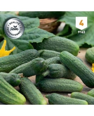 Cornichon Profi F1