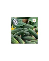 Cornichon Profi F1