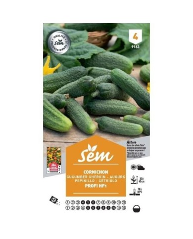 Cornichon Profi F1 (sachet)