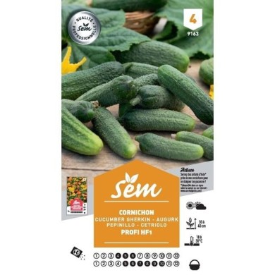 Cornichon Profi F1 (sachet)