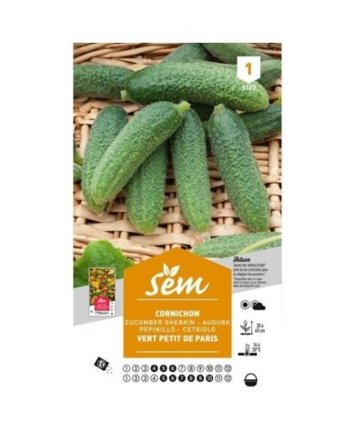 Cornichon vert Petit de Paris (sachet)