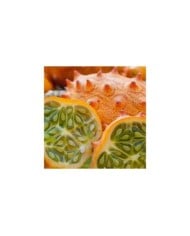 Concombre cornu d’afrique « kiwano »