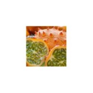 Concombre cornu d’afrique « kiwano »