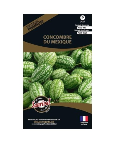 Concombre du mexique (melothria scabra (sachet)