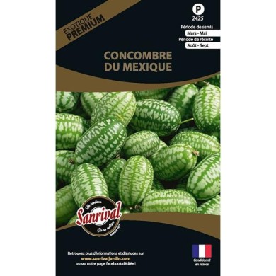 Concombre du mexique (melothria scabra (sachet)
