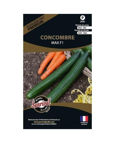 Concombre Max F1 (sachet)