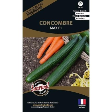 Concombre Max F1 (sachet)