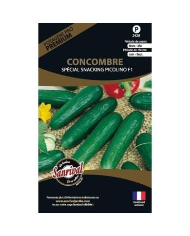 Concombre Lunch box F1 Snacking (sachet)