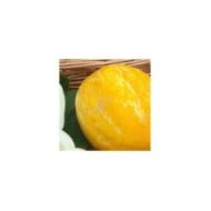 Concombre rond Lemon Apple