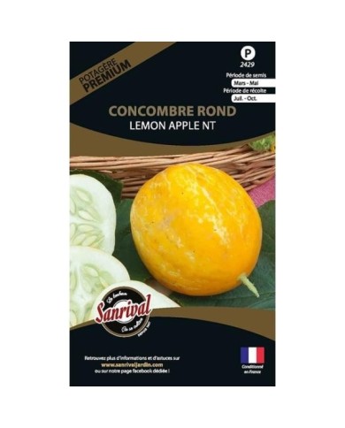 Concombre rond Lemon Apple (sachet)