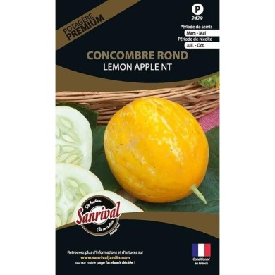 Concombre rond Lemon Apple (sachet)