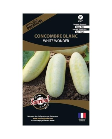 Concombre blanc White Wonder (sachet)
