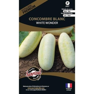 Concombre blanc White Wonder (sachet)