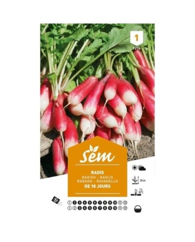 Radis de 18 jours (sachet)