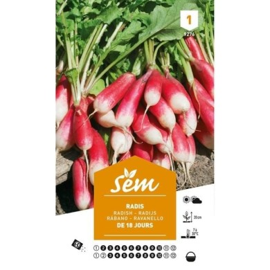 Radis de 18 jours (sachet)