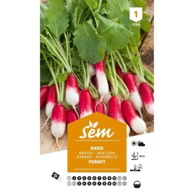 Radis Pernot (sachet)