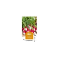 Radis Pernot (sachet)
