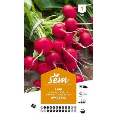 Radis rond écarlate Saxa (sachet)