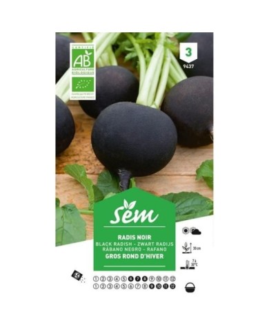 Radis noir gros rond d'hiver Bio (sachet)