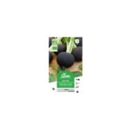 Radis noir gros rond d'hiver Bio (sachet)
