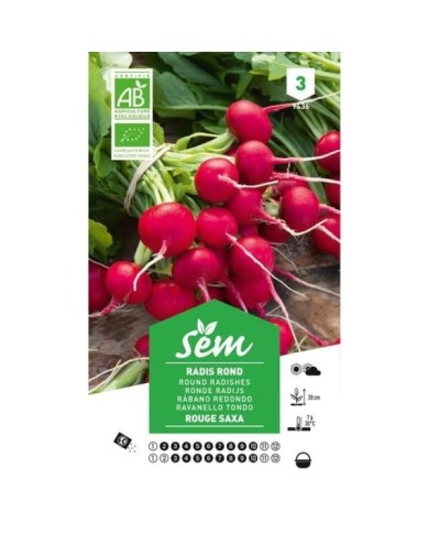 Radis rond rouge Saxa Bio (sachet)